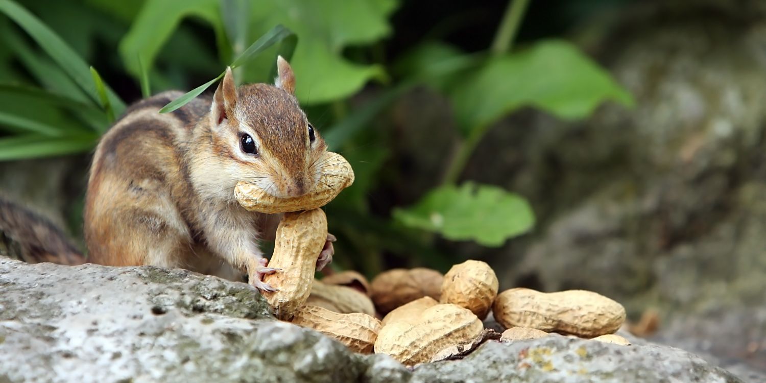 Binge Eating and Tips to Help You Stop the Habit