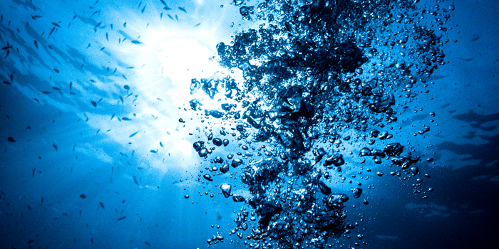 Is the Whoosh for Real?