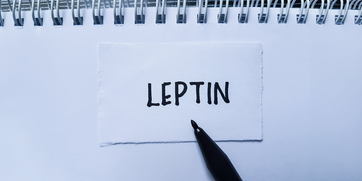 Leptin Resistance and How to Deal With It