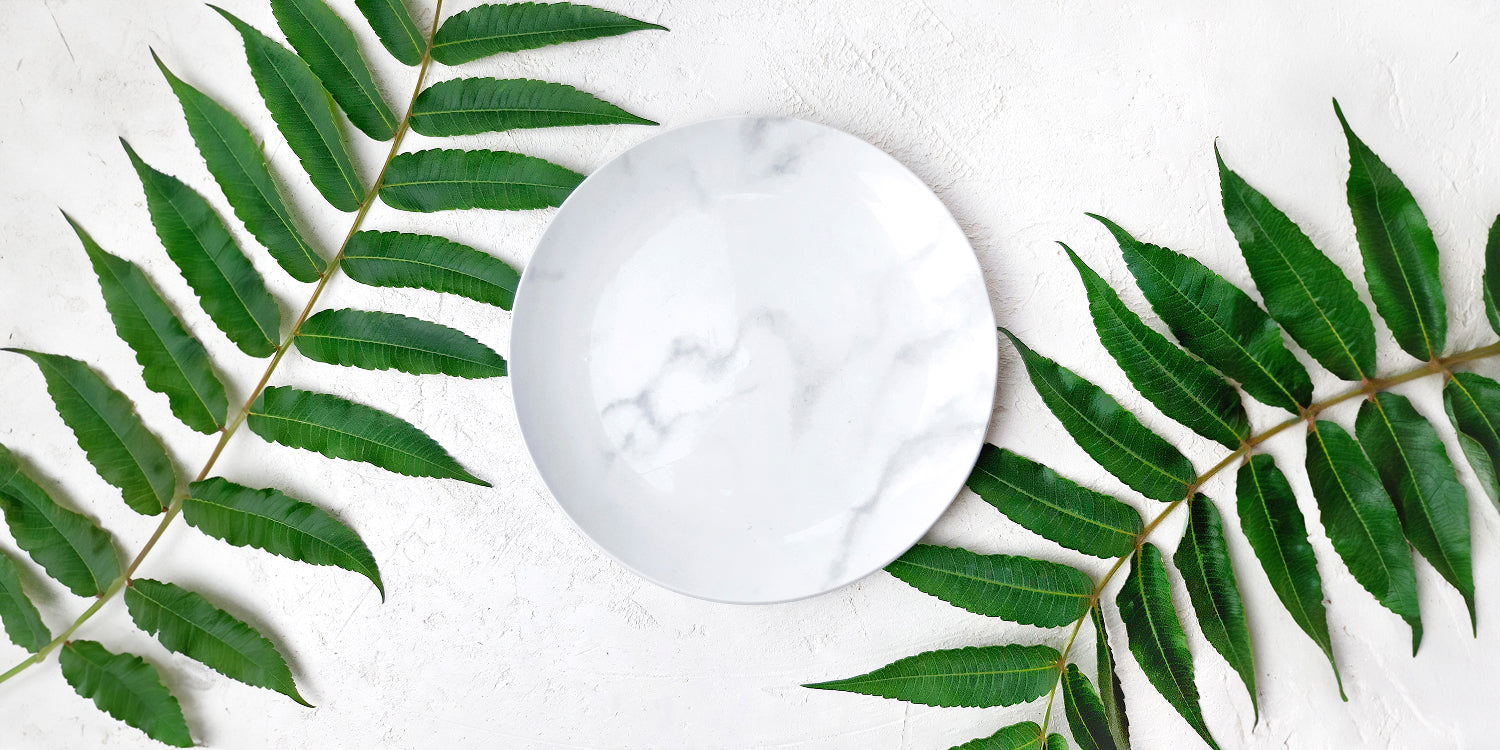 The Dangers of a Vegetarian Diet